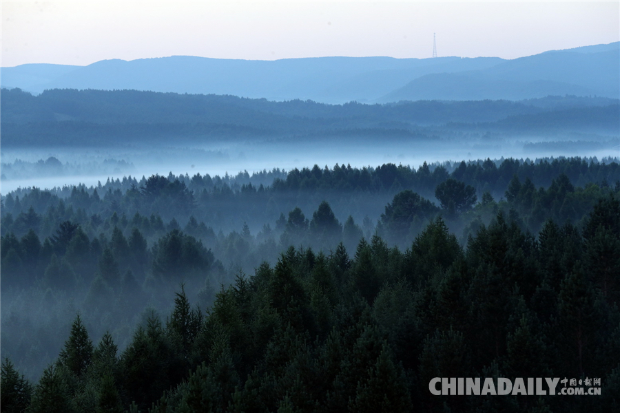 【砥礪奮進的五年•綠色發展】塞罕壩系列報道之一：三代護林員造就的重生之美