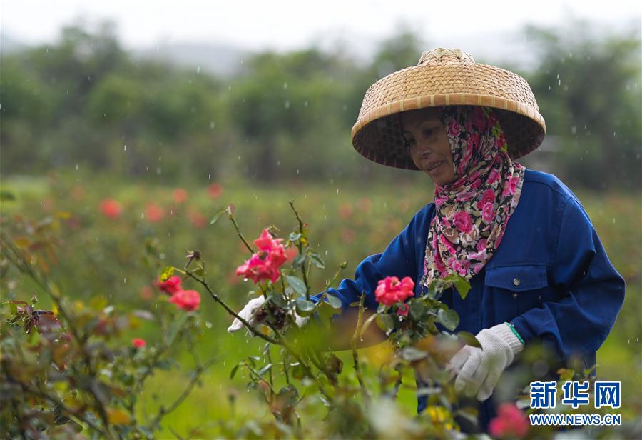 溫暖，一切為了人民的期盼——重訪習近平總書記黨的十八大以來國內考察地