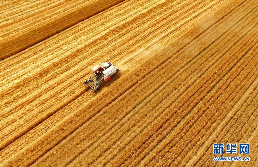 中國道路新境界——紀(jì)念建黨95周年述評