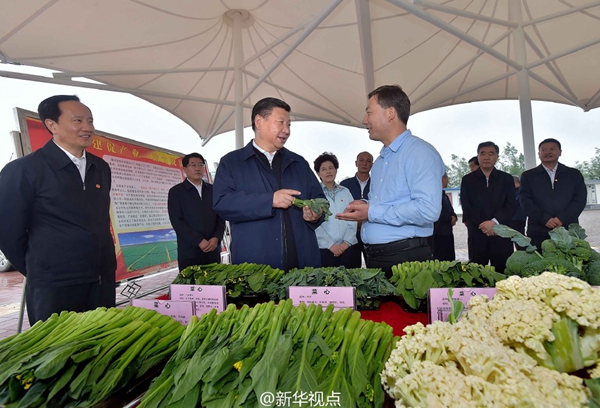 習近平:緬懷先烈、不忘初心,走好新的長征路