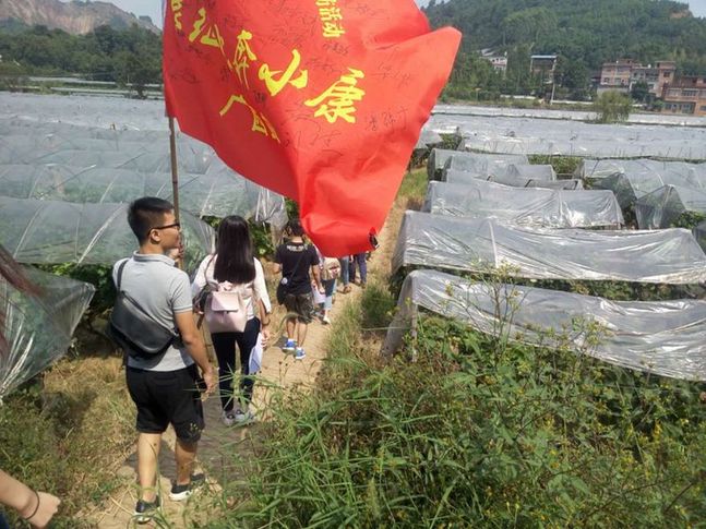 網絡媒體走轉改|桂林全州:“紅+綠”調出全面小康金色希望