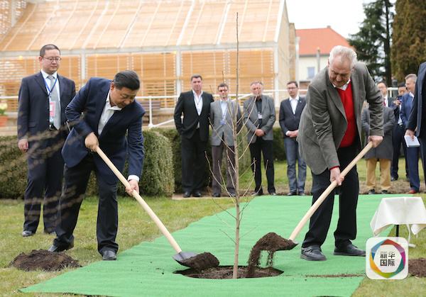 習主席三個月內兩訪中東歐背后的外交智慧與謀略