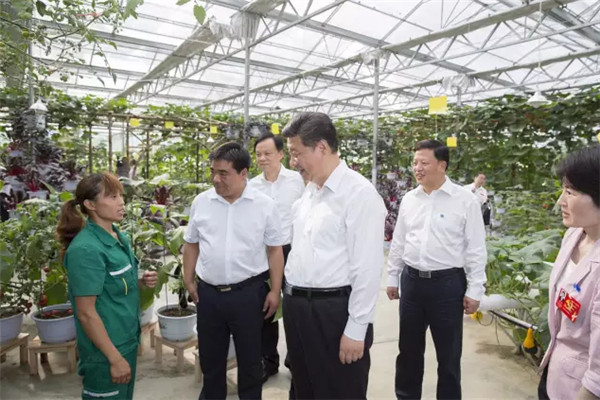 2015年，習總書記到過哪些地方？