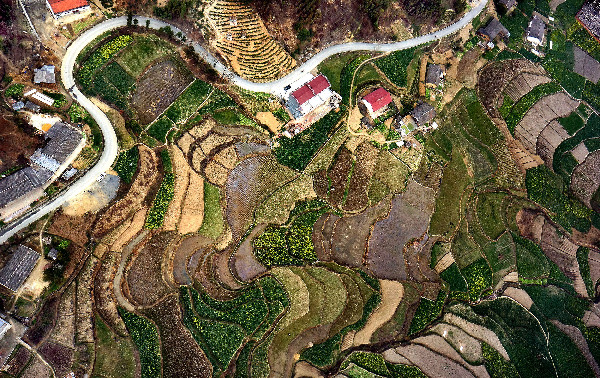 習近平治國有“數”