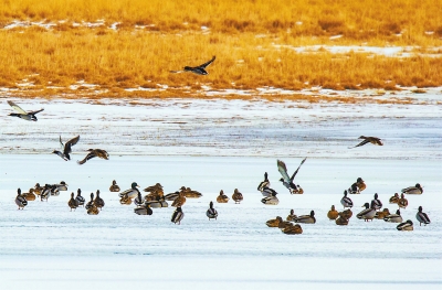 【治國理政新實(shí)踐·甘肅篇】青山綠水蘭州藍(lán) 繪出城市最美的顏色(圖)