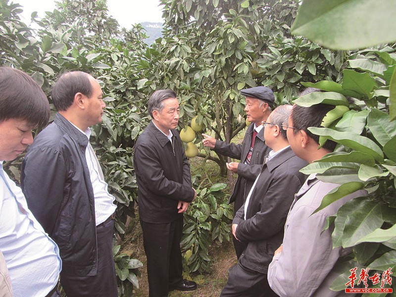 【治國(guó)理政新實(shí)踐湖南篇】扶貧先扶智，小基金大作用