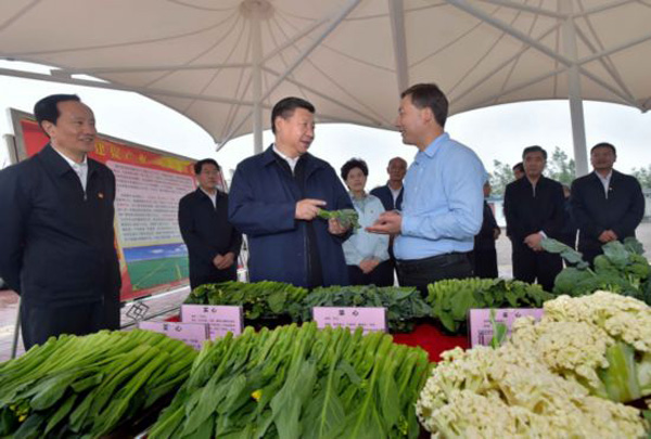 習(xí)近平對(duì)精準(zhǔn)扶貧提出四項(xiàng)舉措