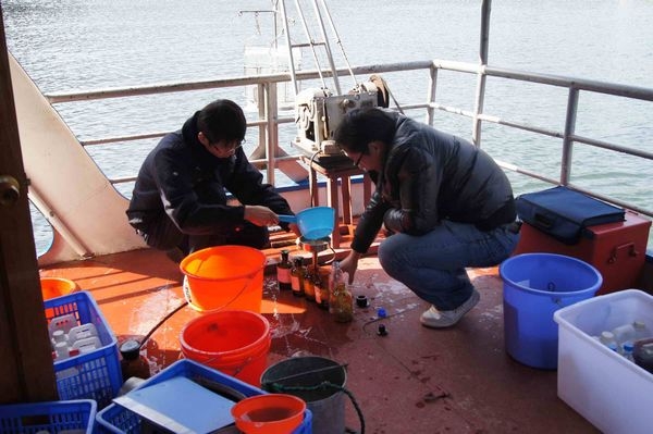 【治國(guó)理政新實(shí)踐·浙江篇】長(zhǎng)三角從產(chǎn)業(yè)合作步入制度合作 攜手邁向世界級(jí)城市群