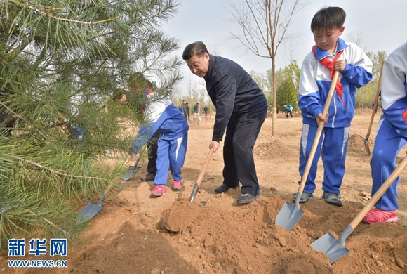 習近平首論林業與全面小康之關系