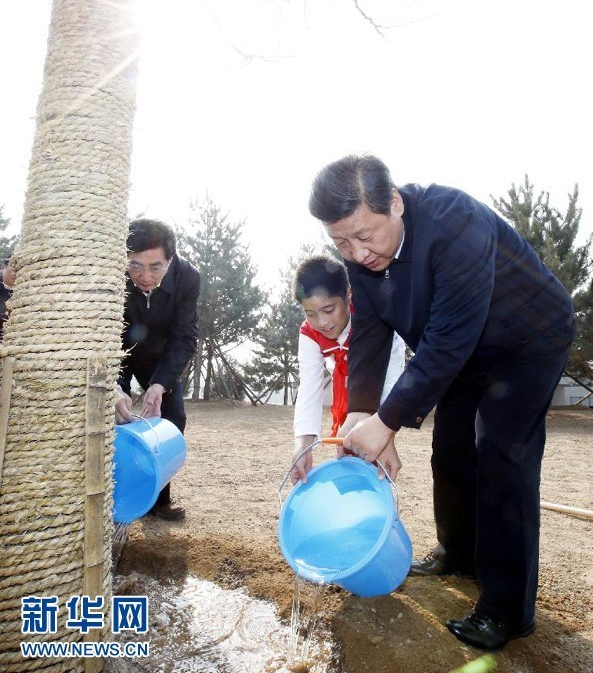 習近平首論林業與全面小康之關系