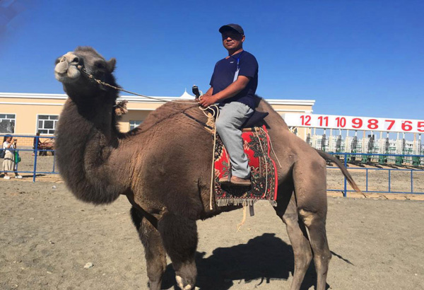 【新時代·幸福美麗新邊疆】從交通工具到渾身是寶 新疆駱駝走上產業發展之路