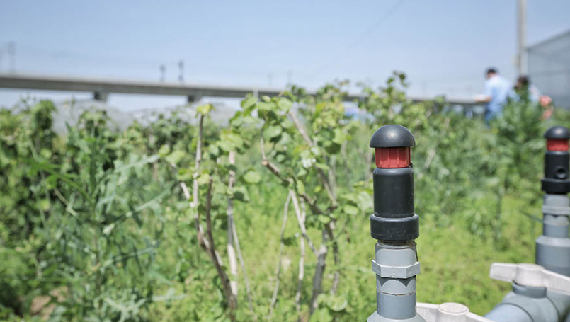 節水，智能，成本低，農業灌溉系統也可以很酷