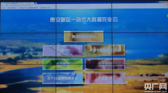 【砥礪奮進的五年·聚焦大數據】大數據 農業 貴安新區為扶貧提供新思路