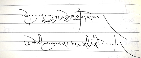 【雙綠報道】采訪手記：藏族護林員的故事二