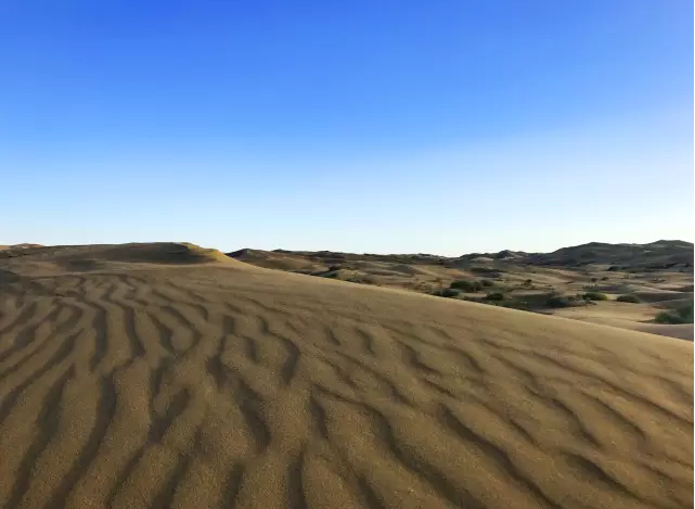 張喜旺:“擇一事,終一生” 敢叫沙漠變綠洲