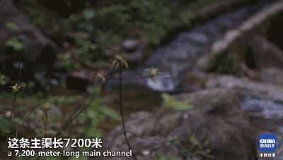 解碼中國丨這位當(dāng)代“愚公”在懸崖峭壁上鑿出7千米水渠,現(xiàn)實比神話傳說更震撼!