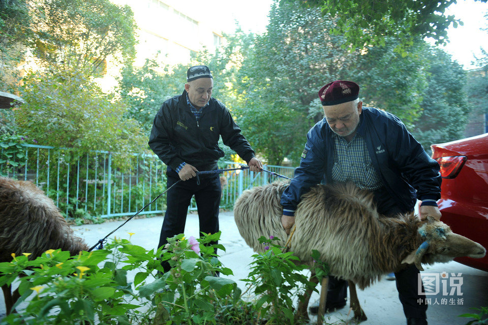 圖說中國人的生活：伊力扎提的古爾邦節