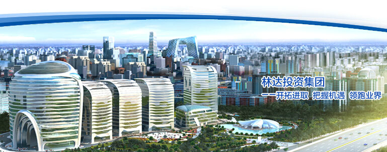 北京林達(dá)投資集團(tuán)董事長李曉林 寄語華表獎