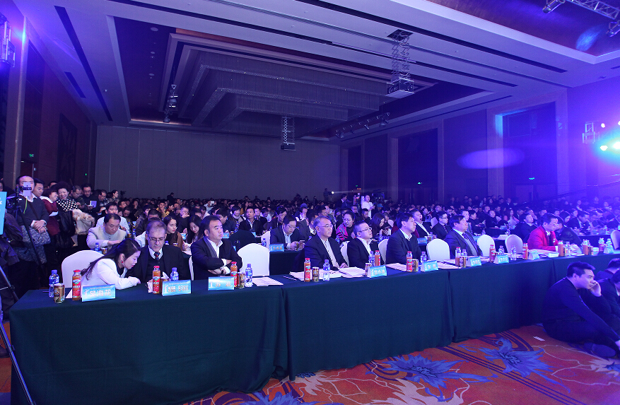 北京長埔房地產(chǎn)開發(fā)有限公司董事長孫林芳榮獲華表獎(jiǎng)年度領(lǐng)軍人物