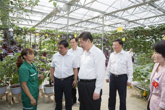 2015年，習近平總書記到過哪些地方？