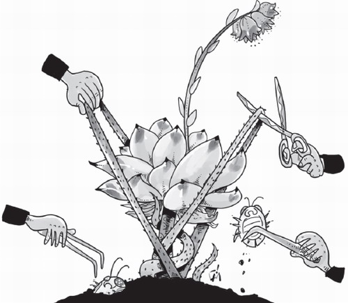 評論：反腐有助經濟增長和減少貧困人口