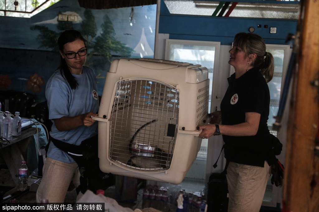 全球最慘動物園永久關閉