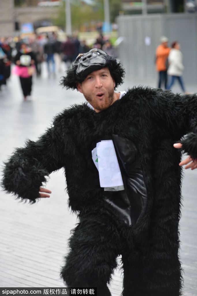 英國舉辦“大猩猩”慈善跑 人扮猩猩獻愛心募款