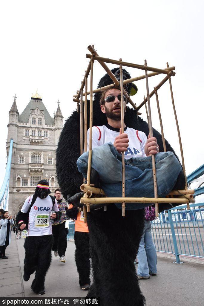 英國舉辦“大猩猩”慈善跑 人扮猩猩獻愛心募款