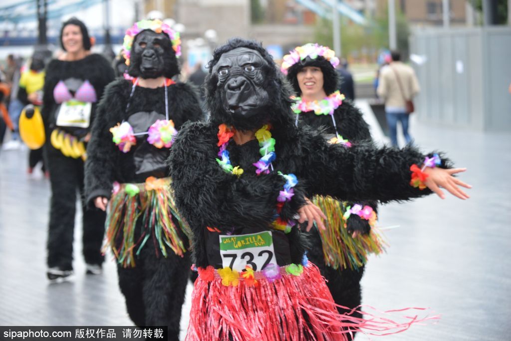 英國舉辦“大猩猩”慈善跑 人扮猩猩獻愛心募款