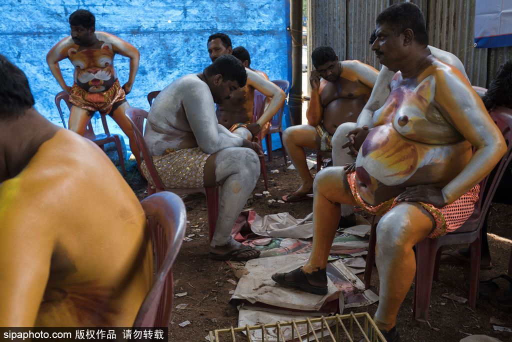 印度傳統(tǒng)虎舞的臺(tái)前幕后 表演者用顏料涂滿全身化身“猛虎”
