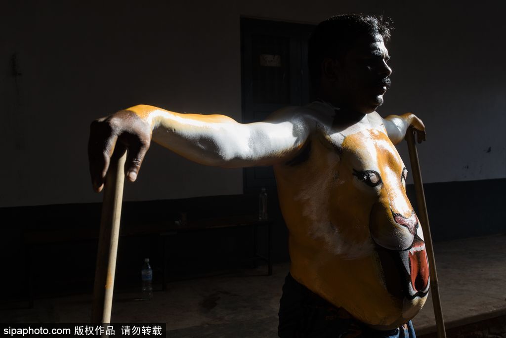 印度傳統(tǒng)虎舞的臺(tái)前幕后 表演者用顏料涂滿全身化身“猛虎”