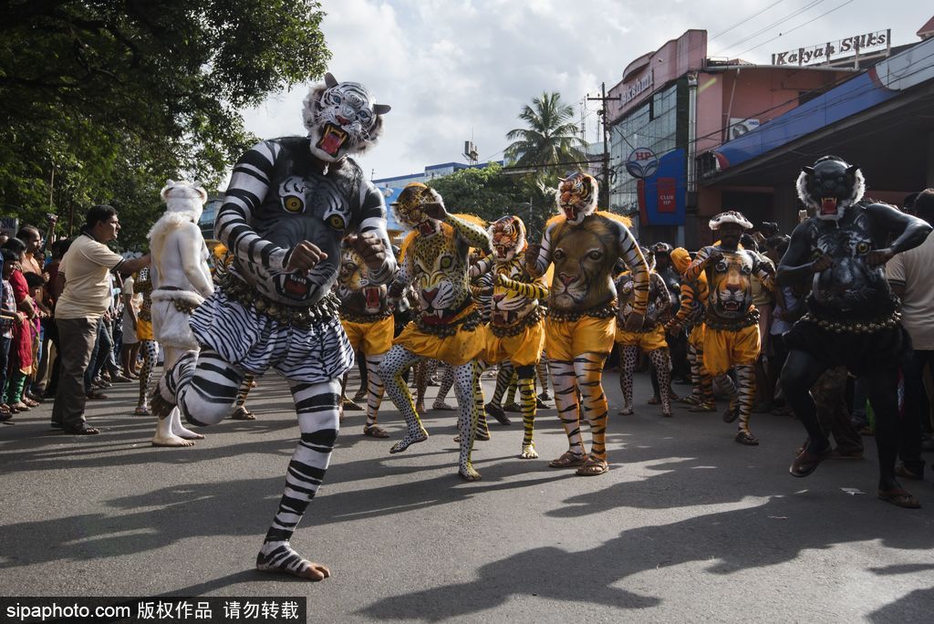 印度傳統虎舞的臺前幕后 表演者用顏料涂滿全身化身“猛虎”