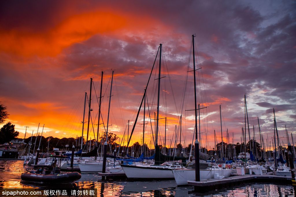 一切都與大海有關 沖浪攝影師獨特視角展示海洋魅力