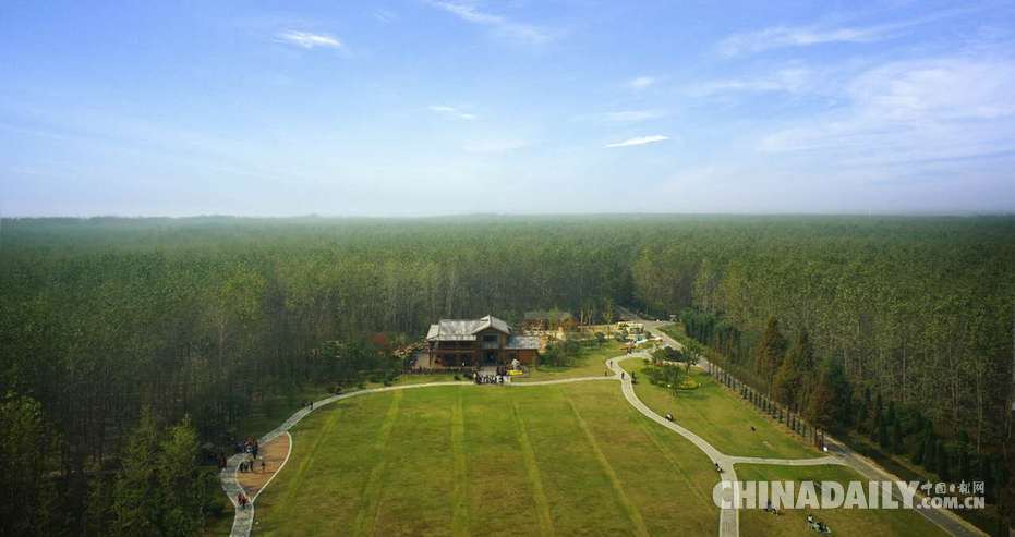 退耕還林還出國家級森林公園（組圖）
