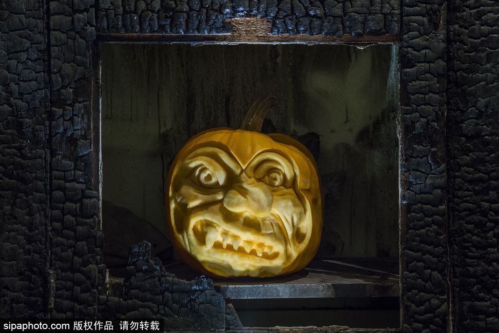 英國：萬圣節最新流行人臉南瓜 特朗普希拉里“上鏡”