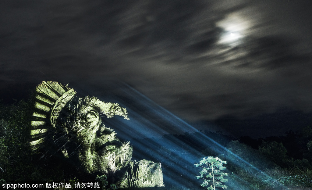 巴西熱帶雨林的投影 攝影師打造震撼光影涂鴉提倡環保