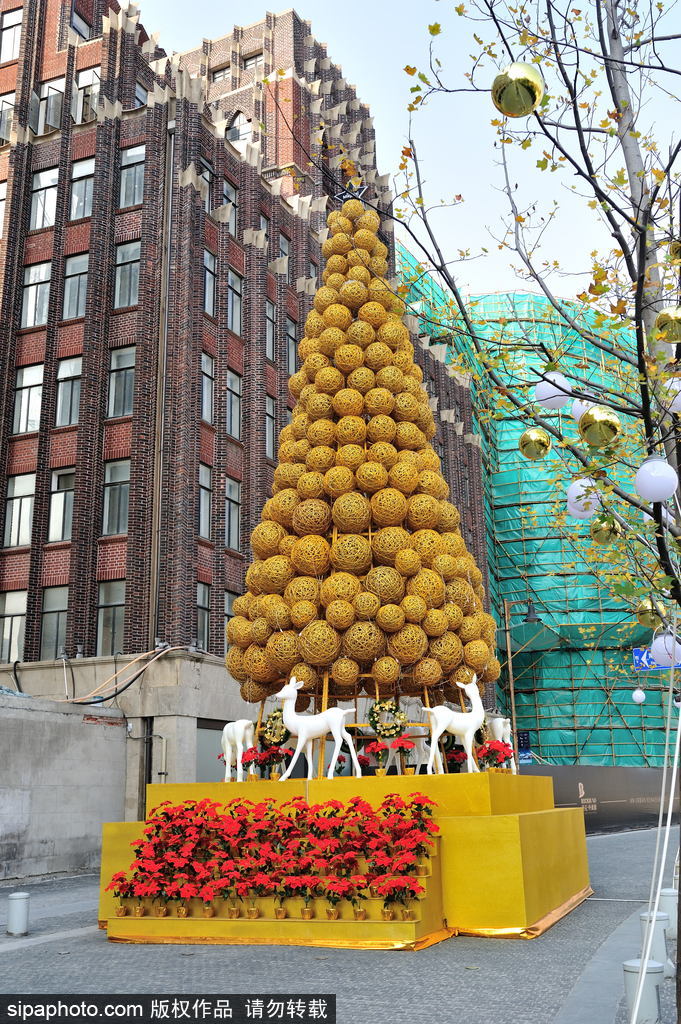 圣誕樹不一定是棵樹 盤點世界上腦洞大開的圣誕樹