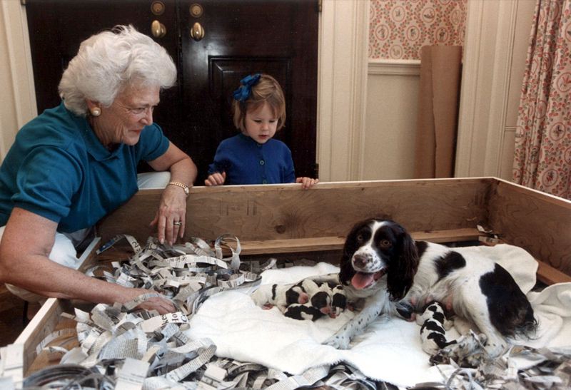 盤點入住白宮的歷任“第一狗狗”