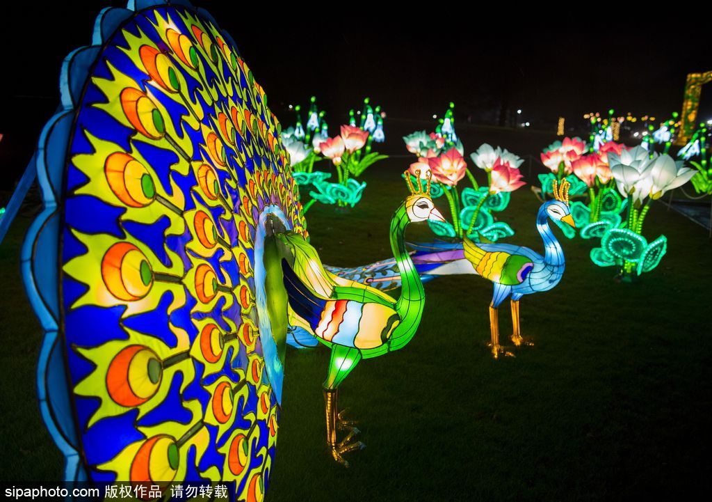 英國超大規模中國巨型燈籠會 豐富動物造型燈飾亮相