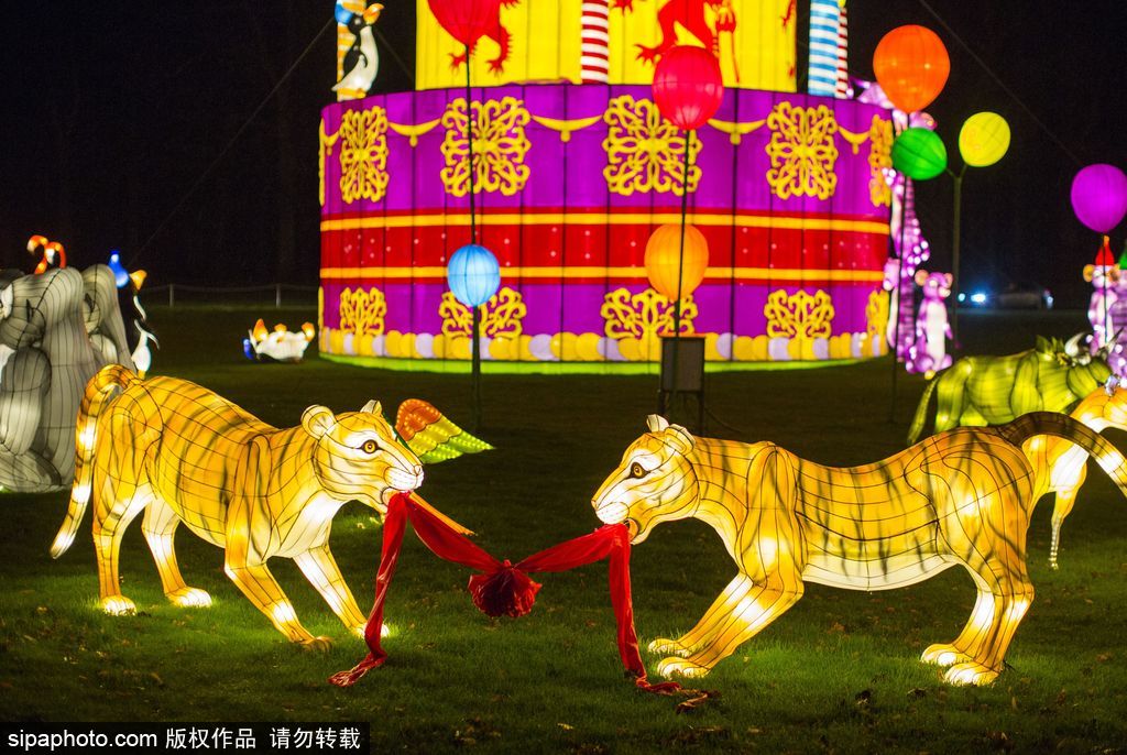 英國超大規模中國巨型燈籠會 豐富動物造型燈飾亮相