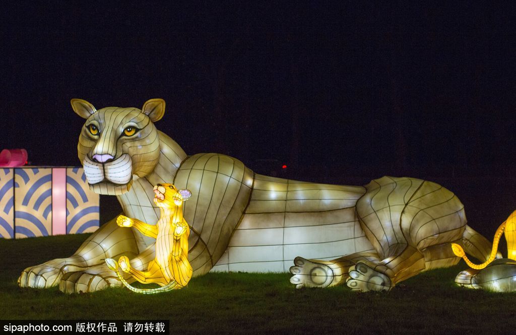 英國(guó)超大規(guī)模中國(guó)巨型燈籠會(huì) 豐富動(dòng)物造型燈飾亮相