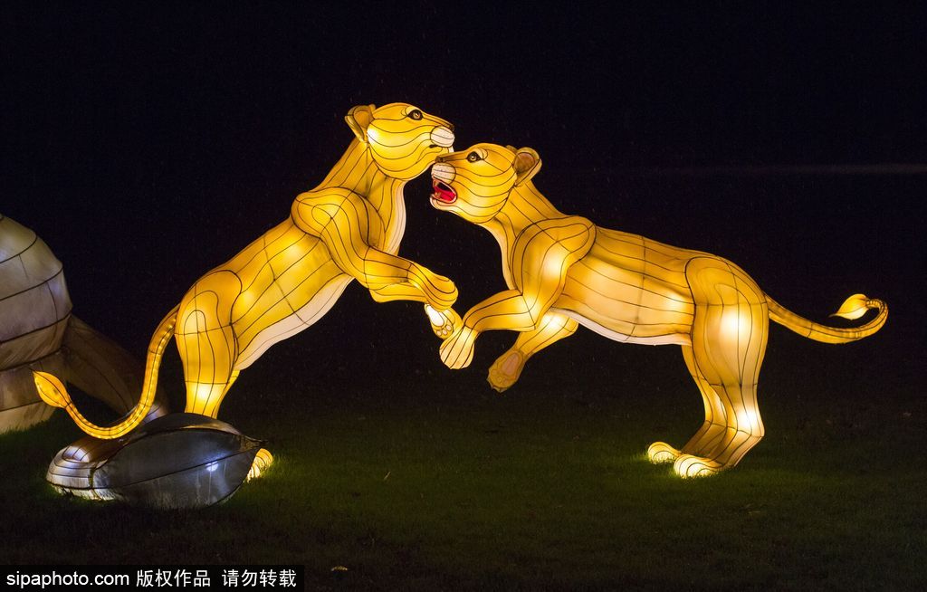 英國超大規模中國巨型燈籠會 豐富動物造型燈飾亮相