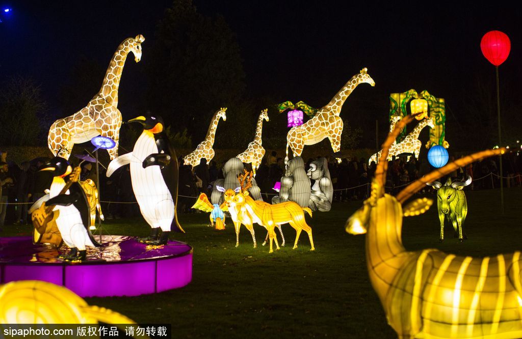英國超大規模中國巨型燈籠會 豐富動物造型燈飾亮相