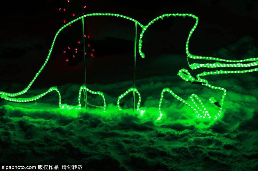 加拿大：卡爾加里公園亮起上萬彩燈迎接圣誕節(jié) 造型各異趣味十足