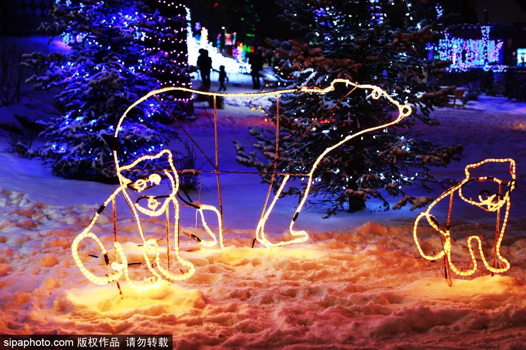 加拿大：卡爾加里公園亮起上萬彩燈迎接圣誕節 造型各異趣味十足