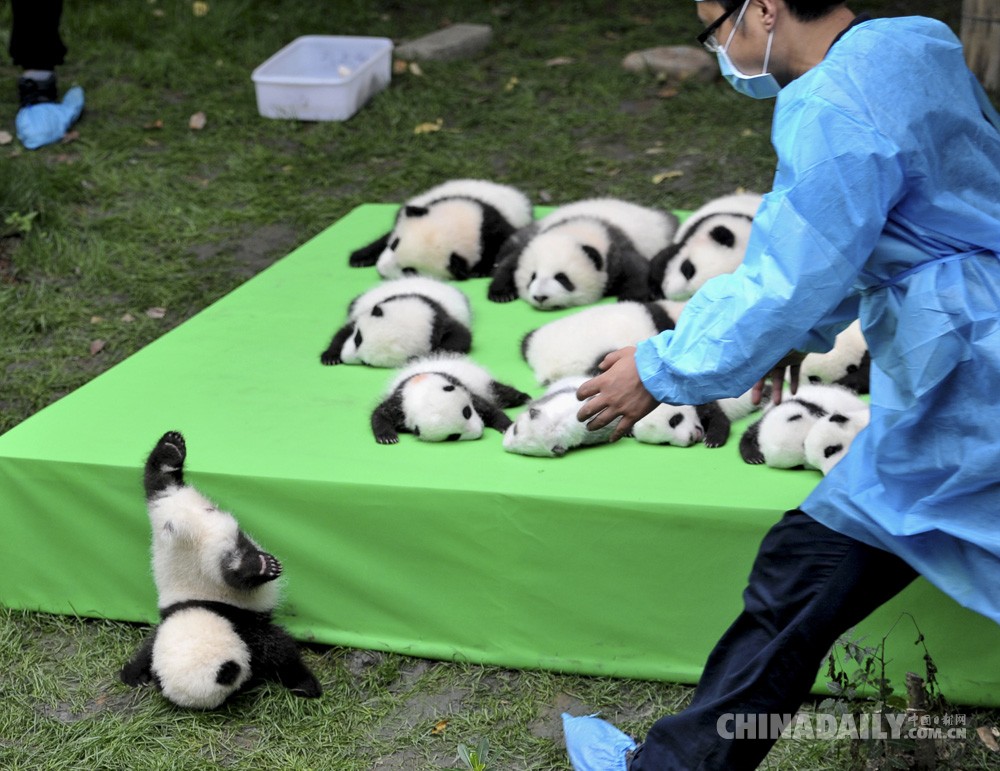 中國日?qǐng)?bào)2016年度國際傳播圖片