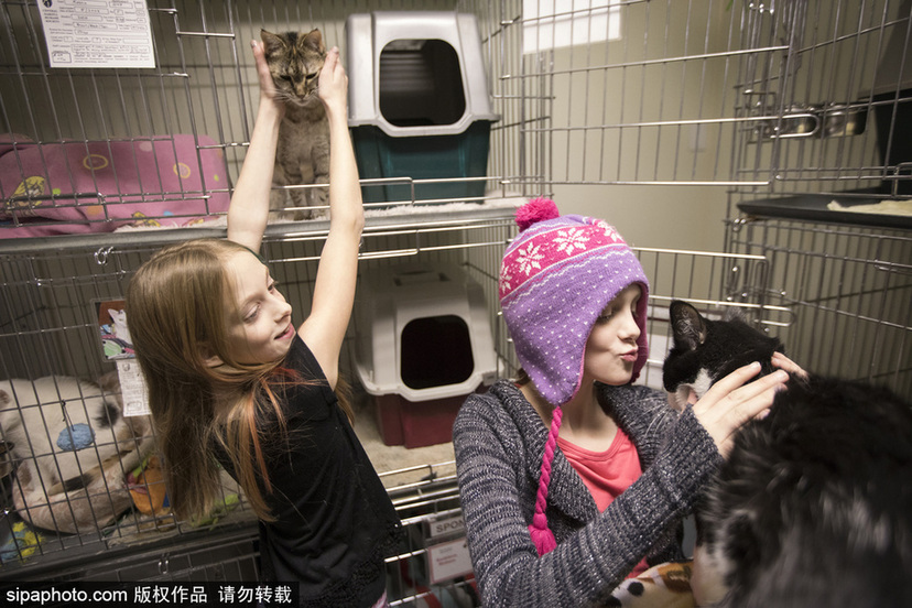 美國孿生連體姐妹分離手術后已茁壯成長11年