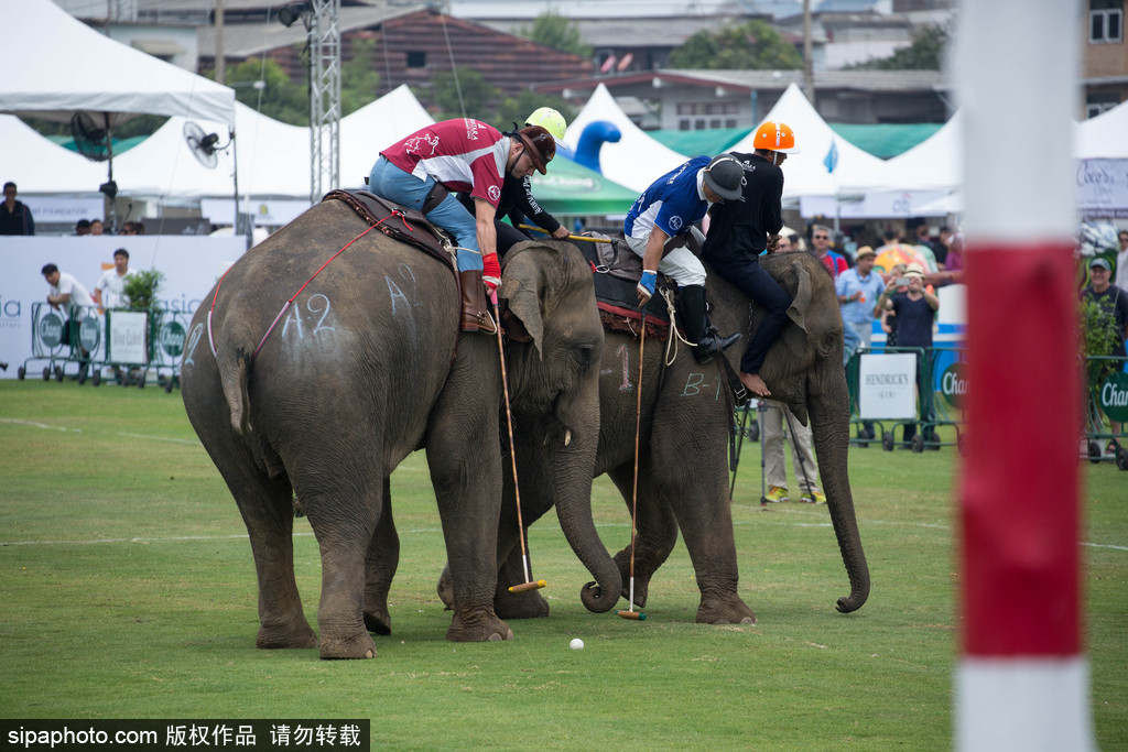 腦洞大過天！盤點全球各類奇葩比賽