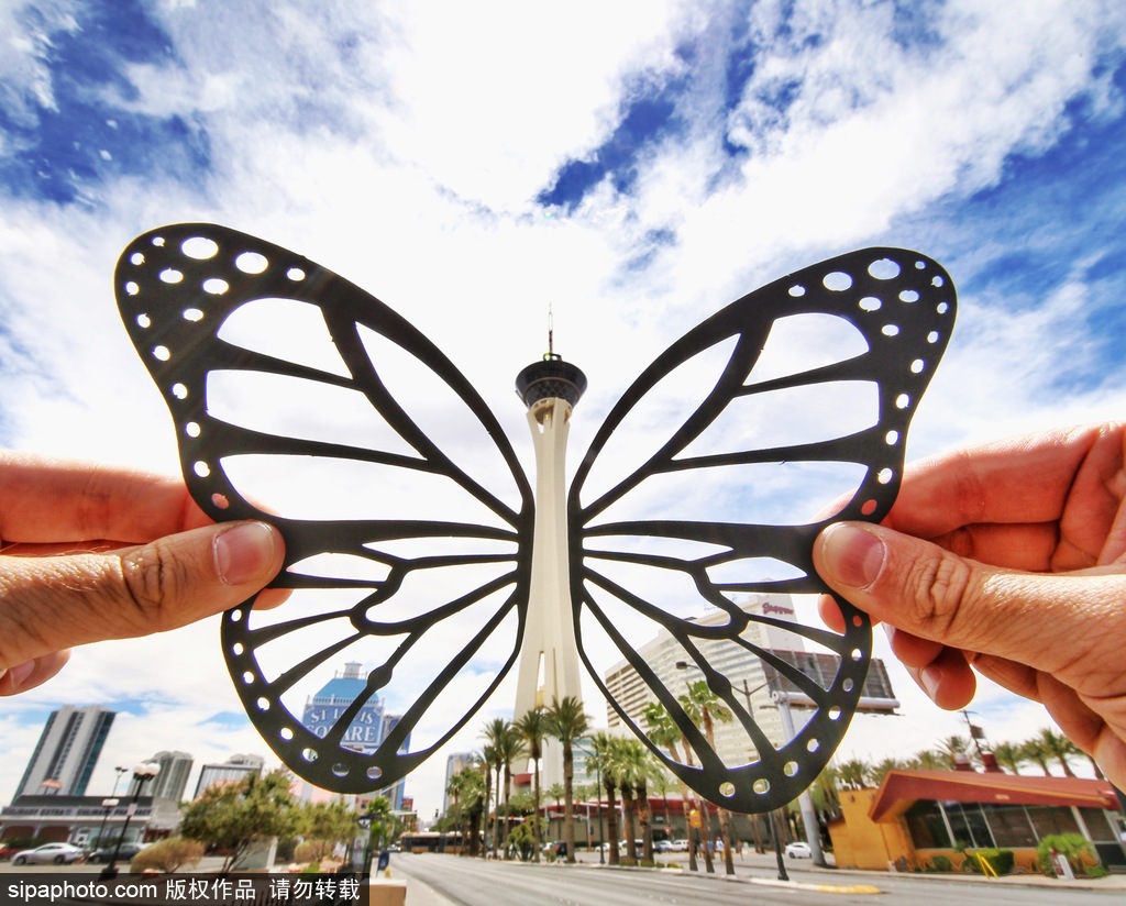 剪紙錯位藝術趣味無窮 盤點度假勝地巧變創意作品