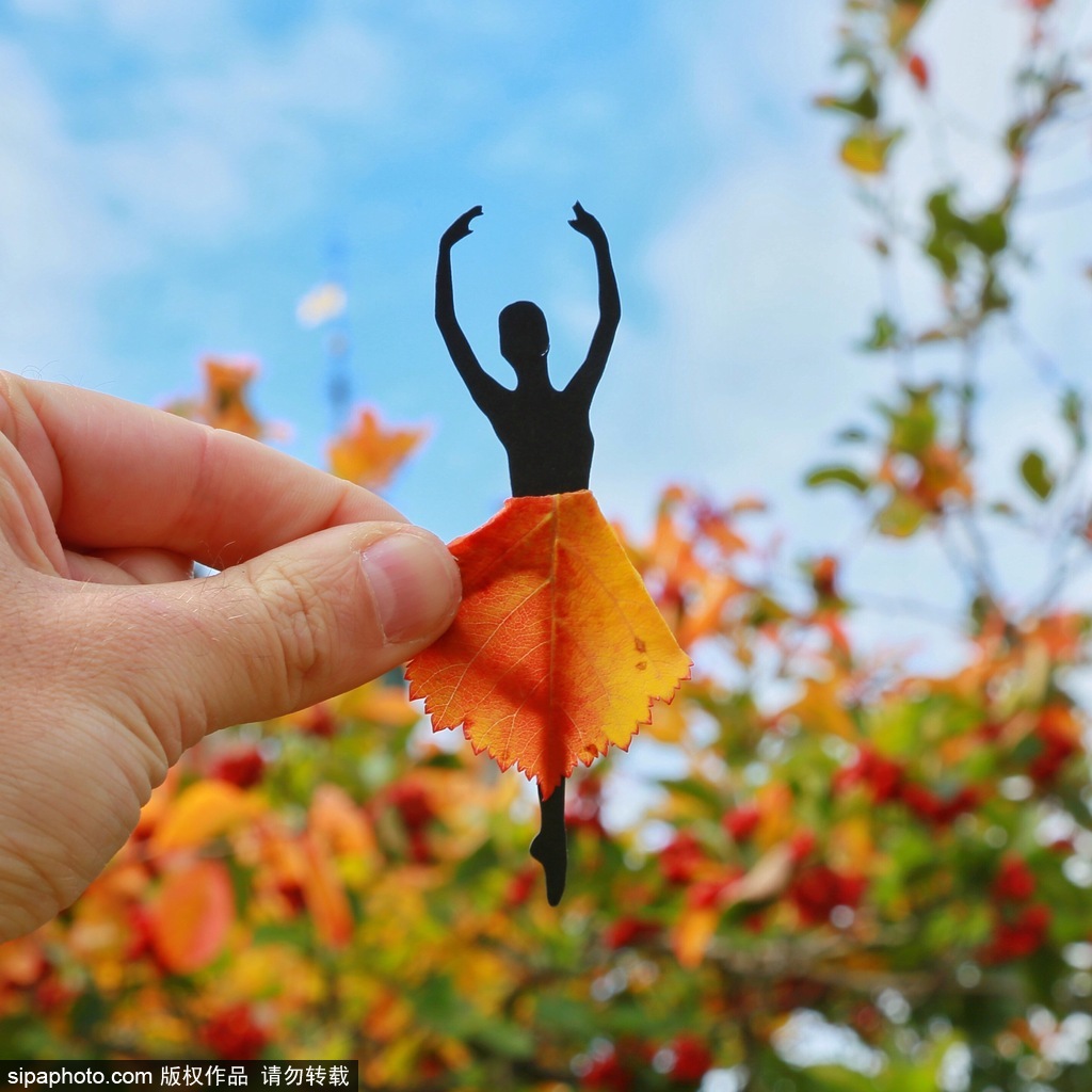 剪紙錯位藝術趣味無窮 盤點度假勝地巧變創意作品